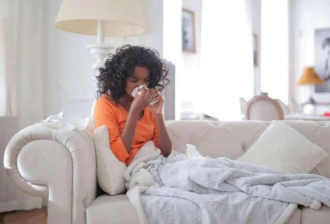  C&oacute;mo prevenir el resfriado y la gripe en oto&ntilde;o Foto: Pexels 