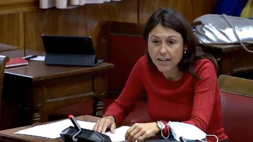 La senadora socialista Paloma Hernández durante su intervención en la comisión (SENADO)