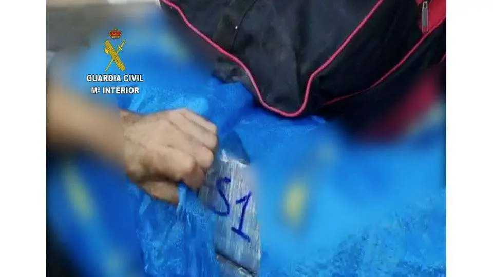 Parte de la droga incautada (GUARDIA CIVIL)