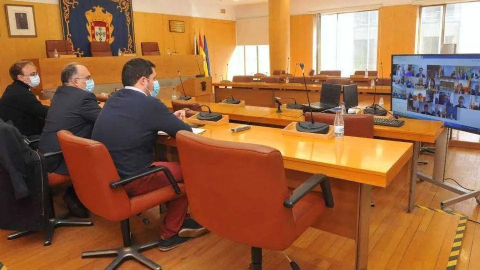 Un momento de la reuni&oacute;n telem&aacute;tica celebrada hoy (CEDIDA)