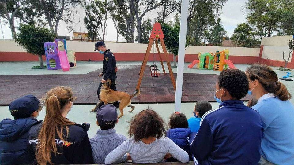Un momento de la exhibición ofrecida por la Unidad de Guías Caninos (CEDIDA)