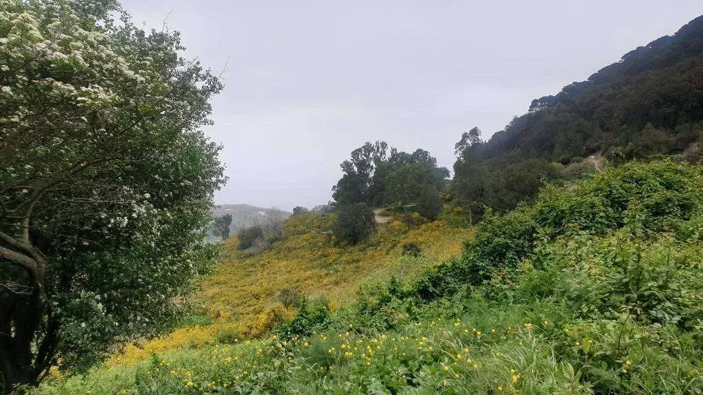 montes