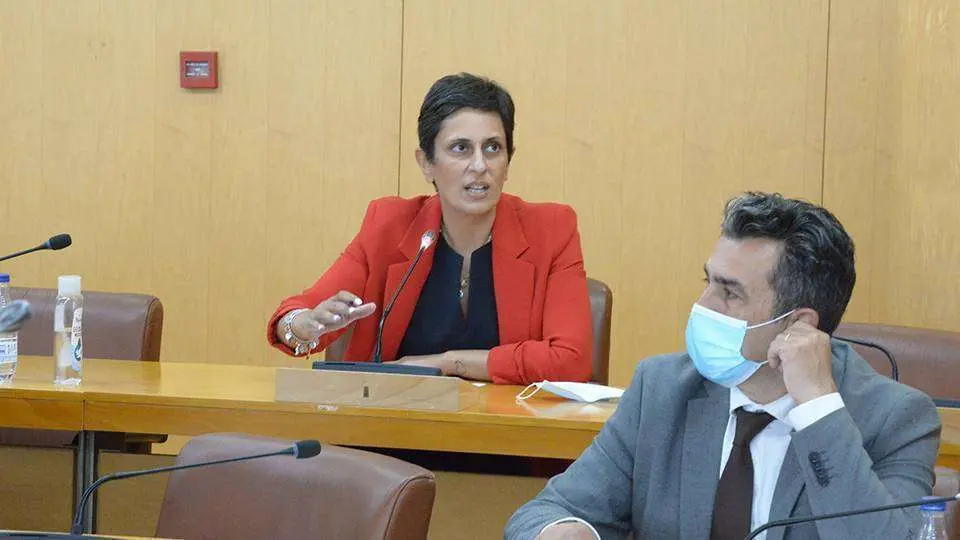 La consejera de Hacienda, Econom&iacute;a y Funci&oacute;n P&uacute;blica, Kissy Chandiramani, hoy en la Asamblea (CEDIDA)