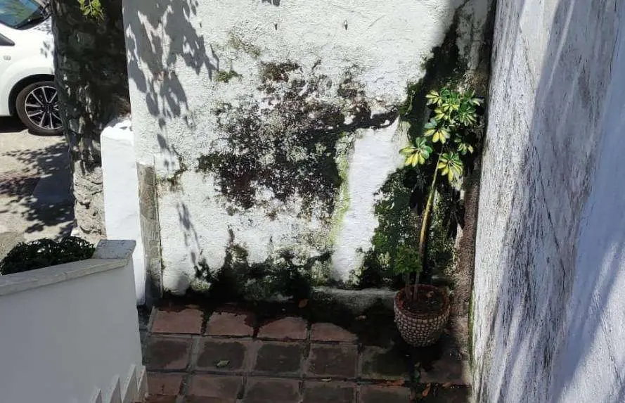 Aspecto del muro (C.A.)