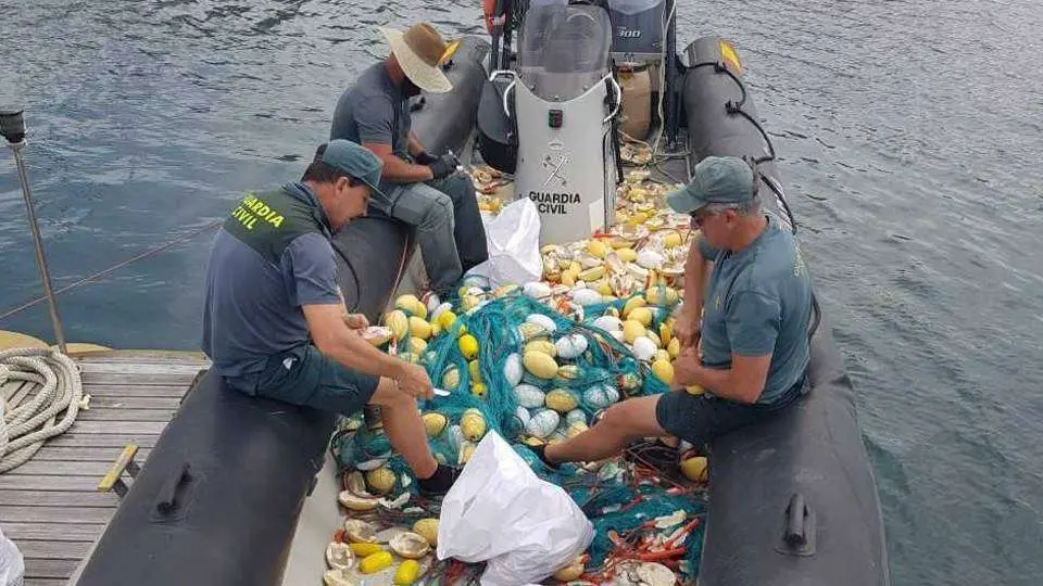 Los agentes extraen el hach&iacute;s oculto en la red (GUARDIA CIVIL)
