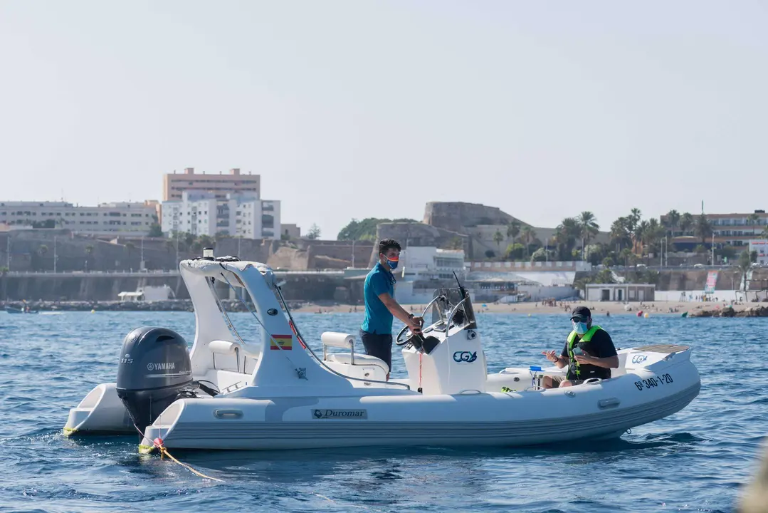 avistamiento cetaceos global