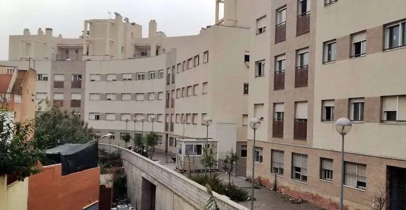dav