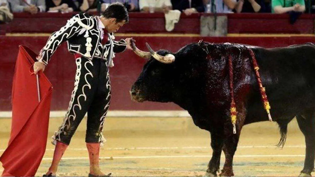 toros