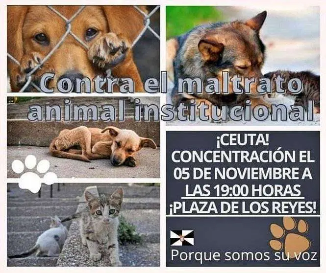 ASOCIACION