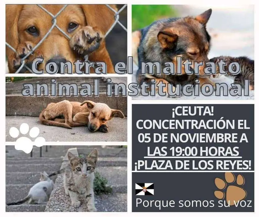 descarga (7)