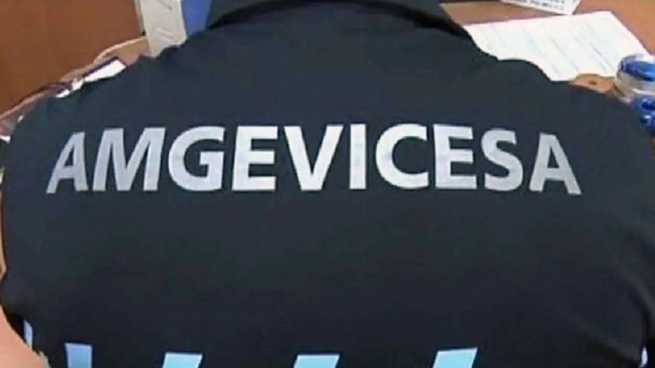 amgevicesa