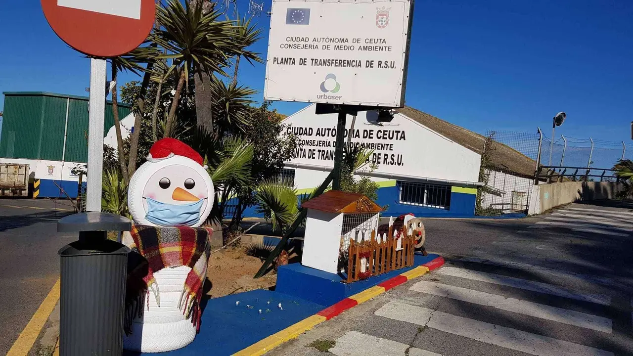 planta residuos navidad