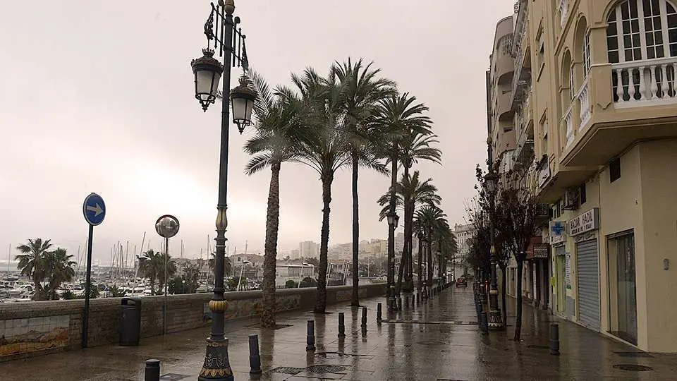 paseo palmeras