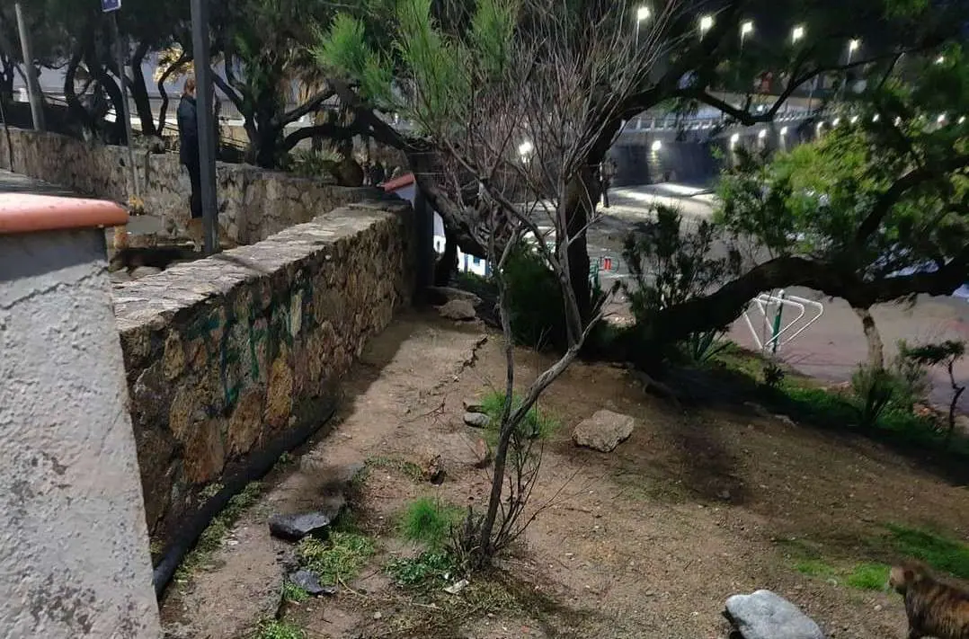 Casetas de gatos, aportadas por Comunidad Gatuna y controladas por AGREVICE,  sustra&iacute;das. (CEDIDAS)