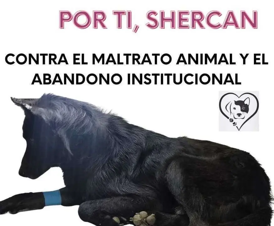 descarga (4)