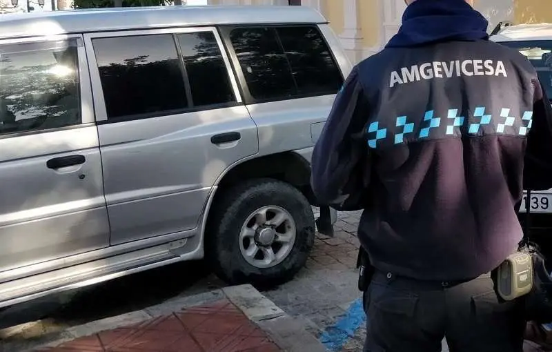 AMGEVICESA