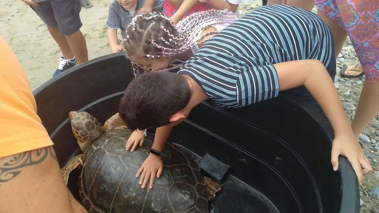 CECAM liberaci&oacute;n de tortugas