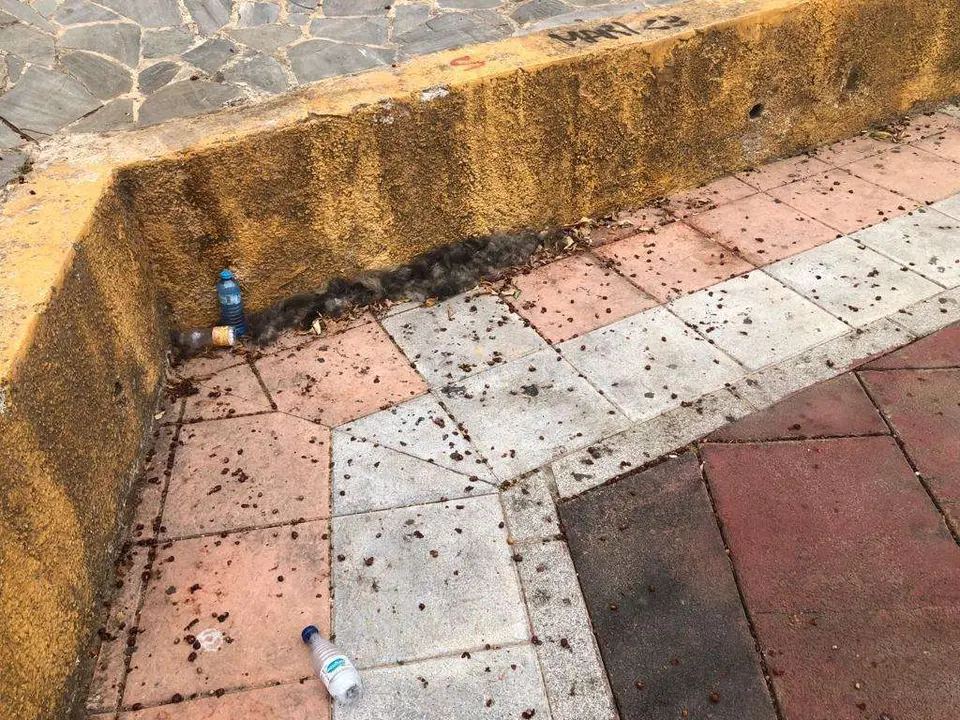barriada San Daniel