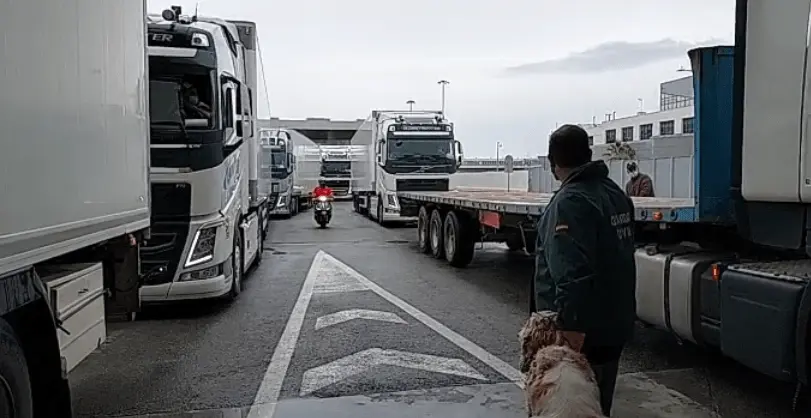 eed-guardia-civil-puerto-algeciras