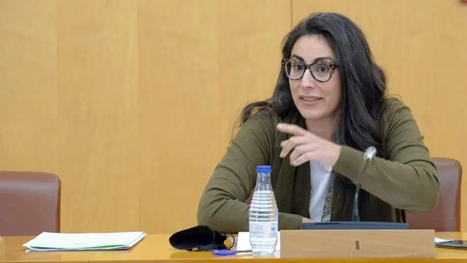 <p> Dunia Mohamed en un Pleno anterior./archivo </p>