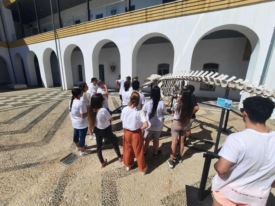 El pasado junio, el Museo del Mar&nbsp;acogi&oacute; en la sala de exposiciones a la asociaci&oacute;n Paisaje Limpio y a las coordinadoras del Proyecto NeumaticOUT (APC)