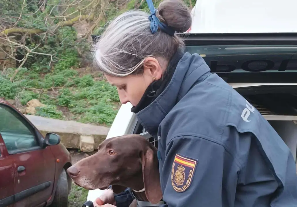 Beto, perteneciente a la Unidad de Gu&iacute;as Caninos de Madrid, junto con agentes de Medios A&eacute;reos, UIP, Polic&iacute;a Judicial y Seguridad Ciudadana, llevan a cabo las labores de b&uacute;squeda del menor de 17 a&ntilde;os desaparecido hace un a&ntilde;o en Ceuta