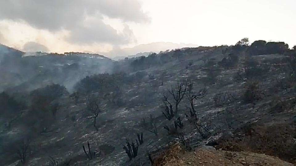Zona forestal incendiada en Calamocarro (C.A./ARCHIVO)