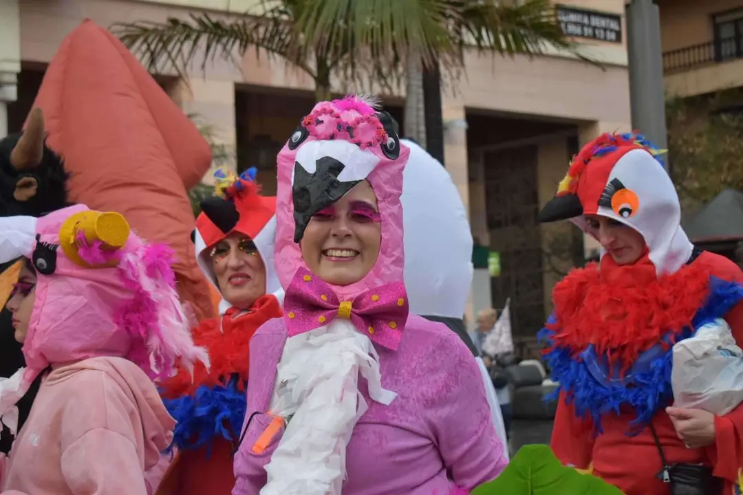 Cabalgata carnaval