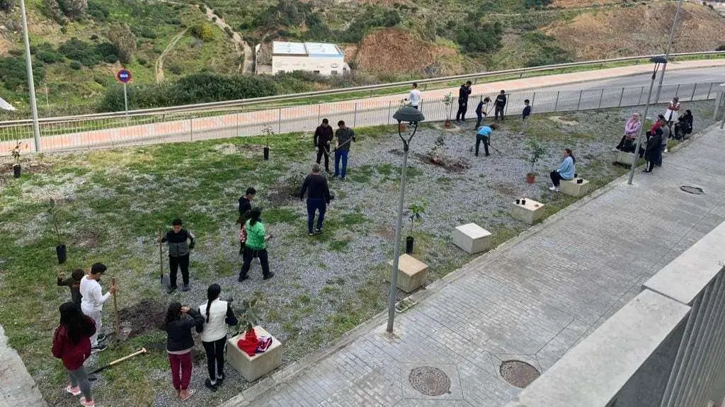 actividad en la que se han sembrado&nbsp;60 &aacute;rboles frutales alrededor de la barriada 317 VPO de Loma Colmenar