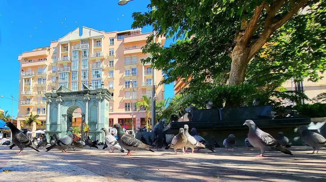 Plaza de los Reyes. Cielo despejado. Palomas