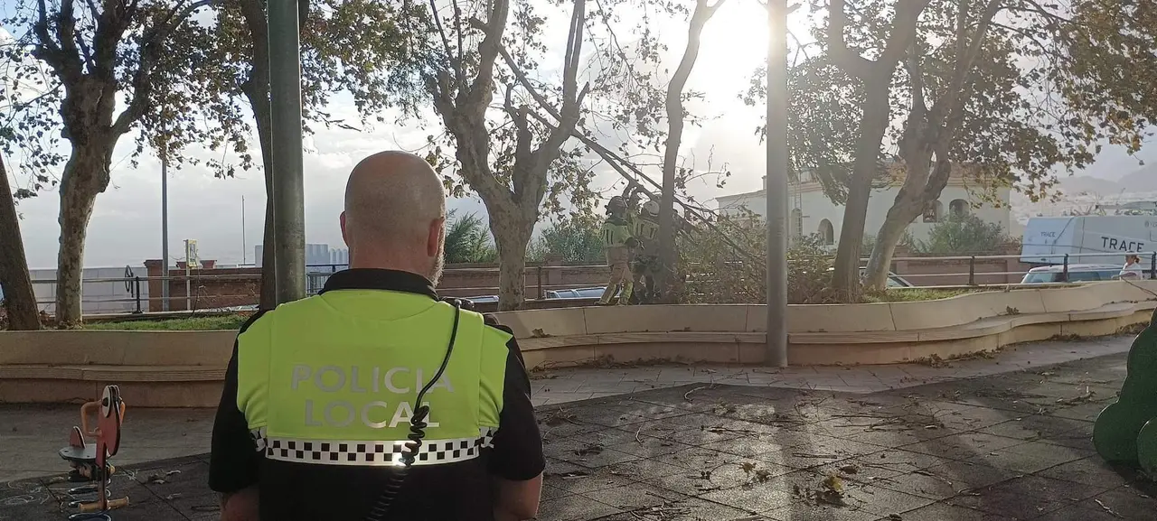 Consecuencias de la borrasca Aline temporal