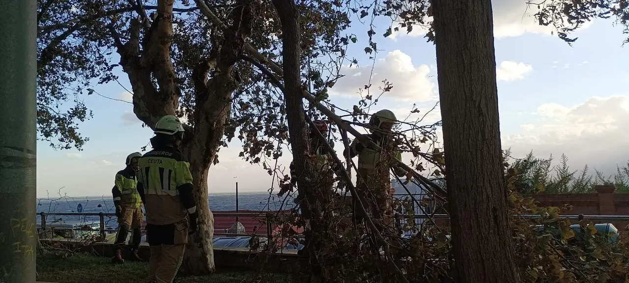 Consecuencias de la borrasca Aline temporal