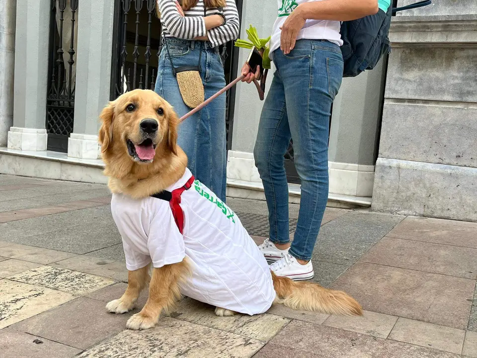 Carrera solidaria &laquo;4.300 pasos por la salud mental&raquo;