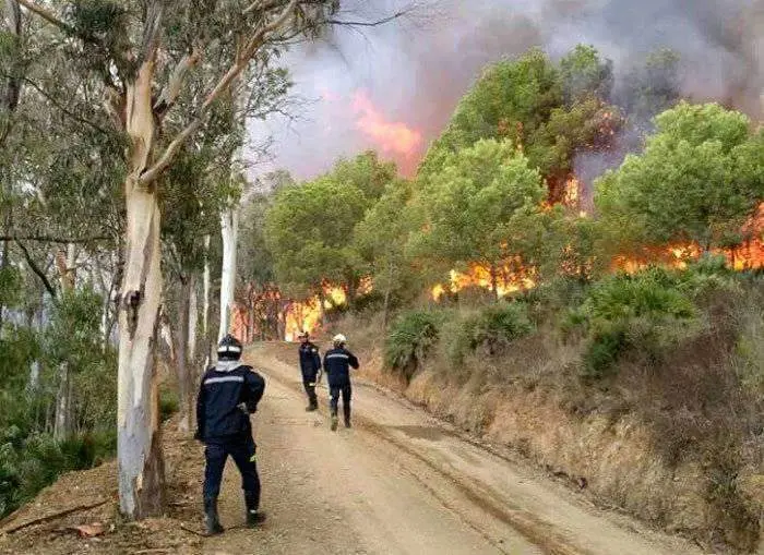 Incendio monte tortuga 5 de octubre de 2015