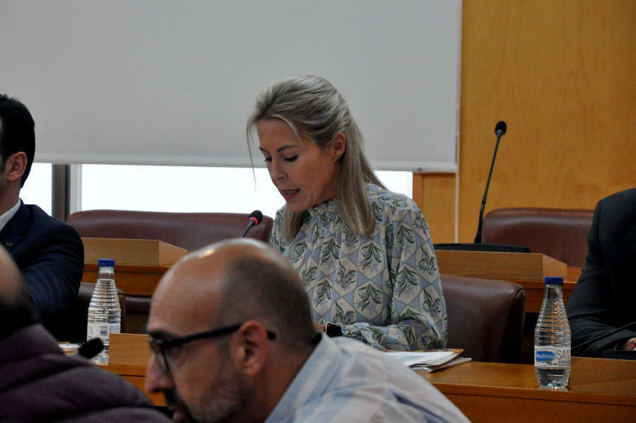  Teresa López, diputada de Vox, durante su intervención en el pleno de este viernes / Pablo Matés 