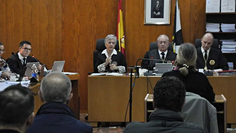  M&oacute;nica Argent declarando como testigo de espaldas ante las preguntas del fiscal. 