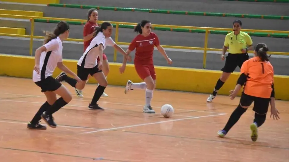 f&uacute;tbol sala femenino