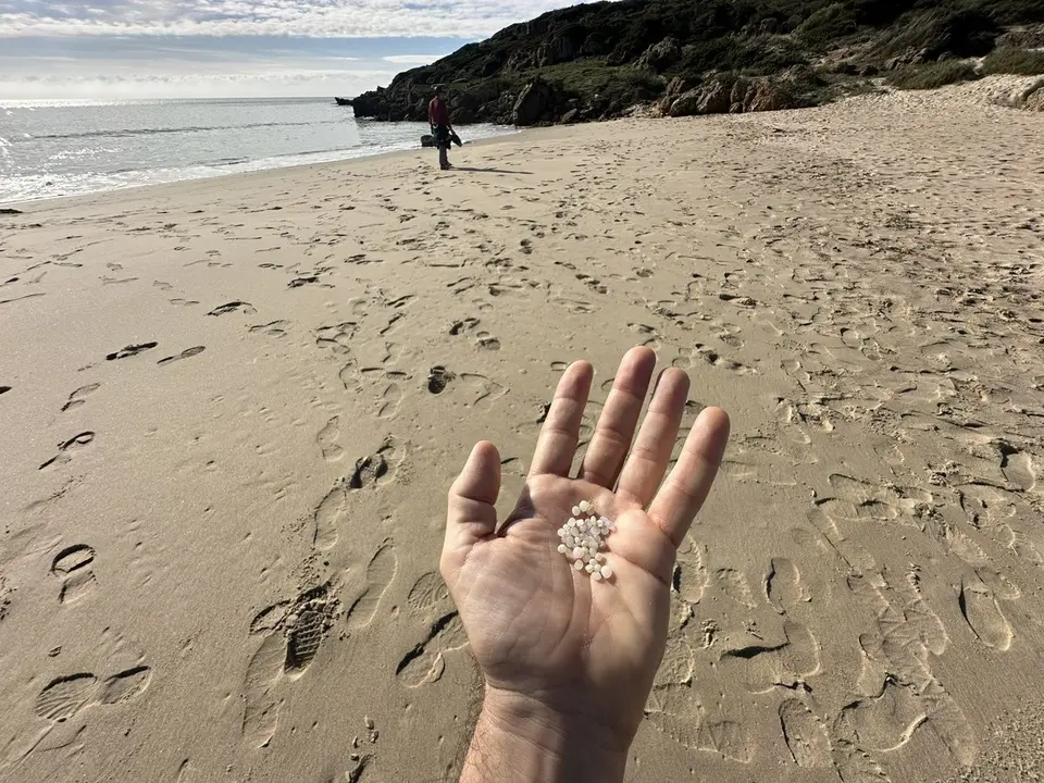 Aparici&oacute;n de pellets en Tarifa / Fotograf&iacute;a: Verdemar