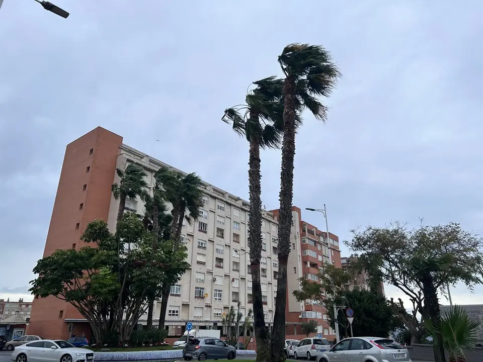 Temporal viento / M.Zapico