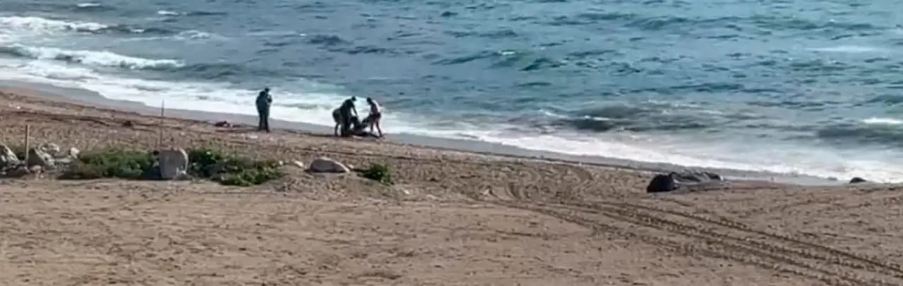 Momento en el que el cuerpo es depositado sobre la playa (C.A.)