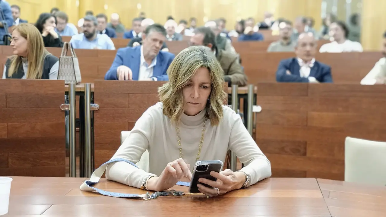 Arantxa Campos presidenta CECE