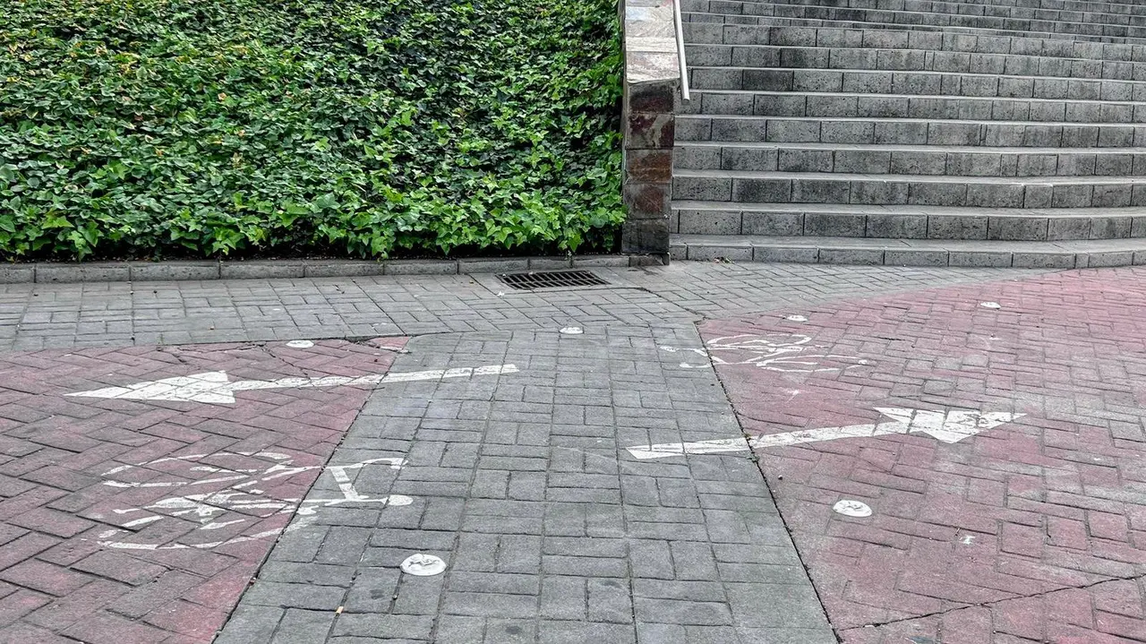 Carril bici Jardines de la Argentina