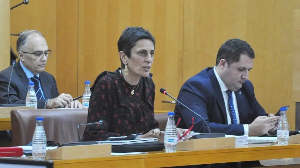  Chandiramani durante su intervenci&oacute;n en el Pleno este lunes. 