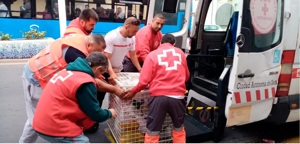 Voluntarios de Cruz Roja cargan los alimentos donados en una furgoneta (C.A.)