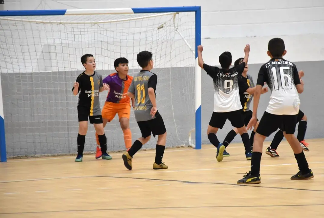 Categor&iacute;a Alev&iacute;n 2&ordf; Auton&oacute;mica de F&uacute;tbol Sala
