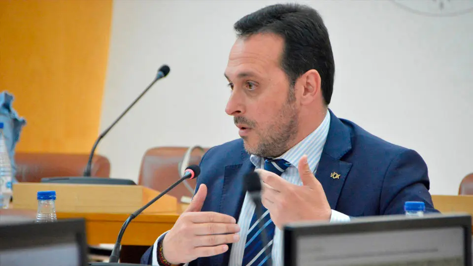 El portavoz de Vox, Juan Sergio Redondo, durante una de sus intervenciones ante el pleno (A. CASTILLO)