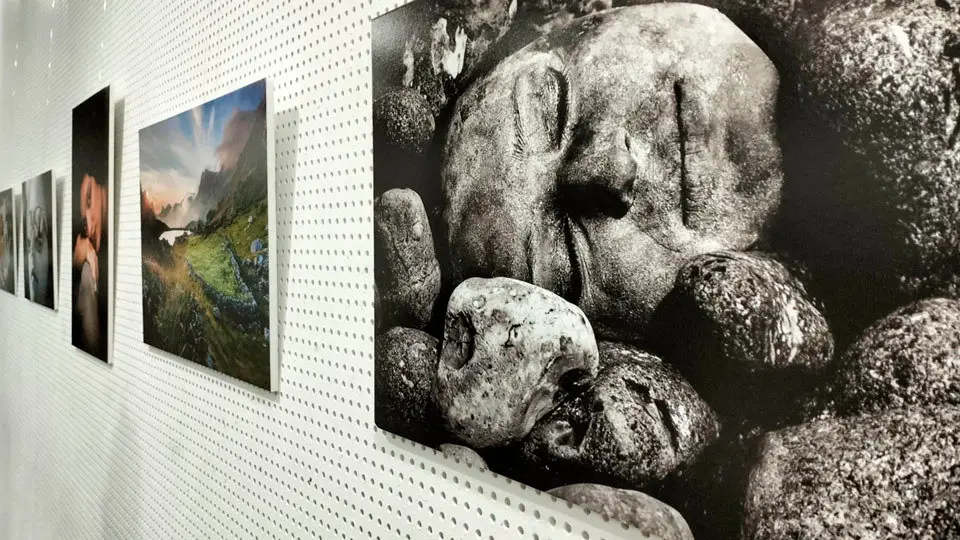 Exposici&oacute;n colectiva de Miradas