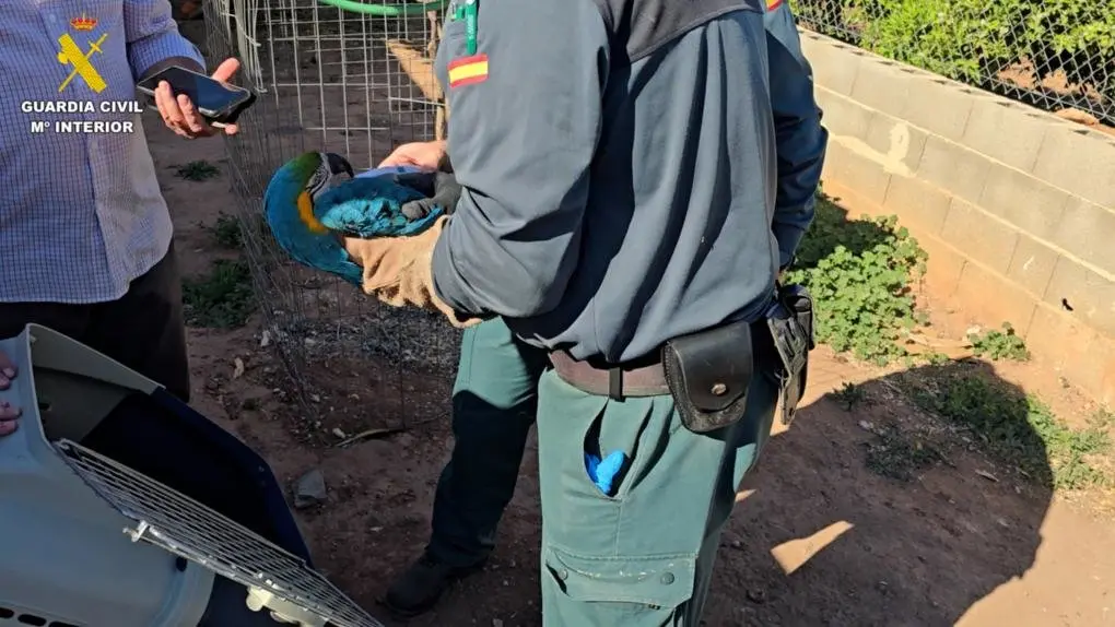 Un agent sostiene el guacamayo hallado en la vivienda (GUARDIA CIVIL)