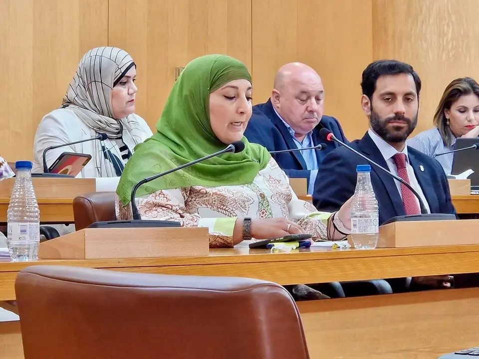 Nadia Mohamed (MDyC) durante la sesi&oacute;n plenaria
