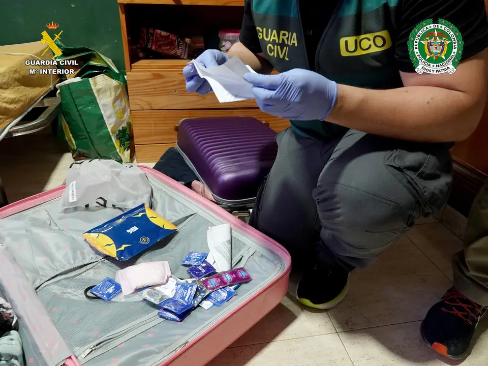 Registro domiciliario durante la operaci&oacute;n desarrollada por la Guardia Civil (MINISTERIO DEL INTERIOR)